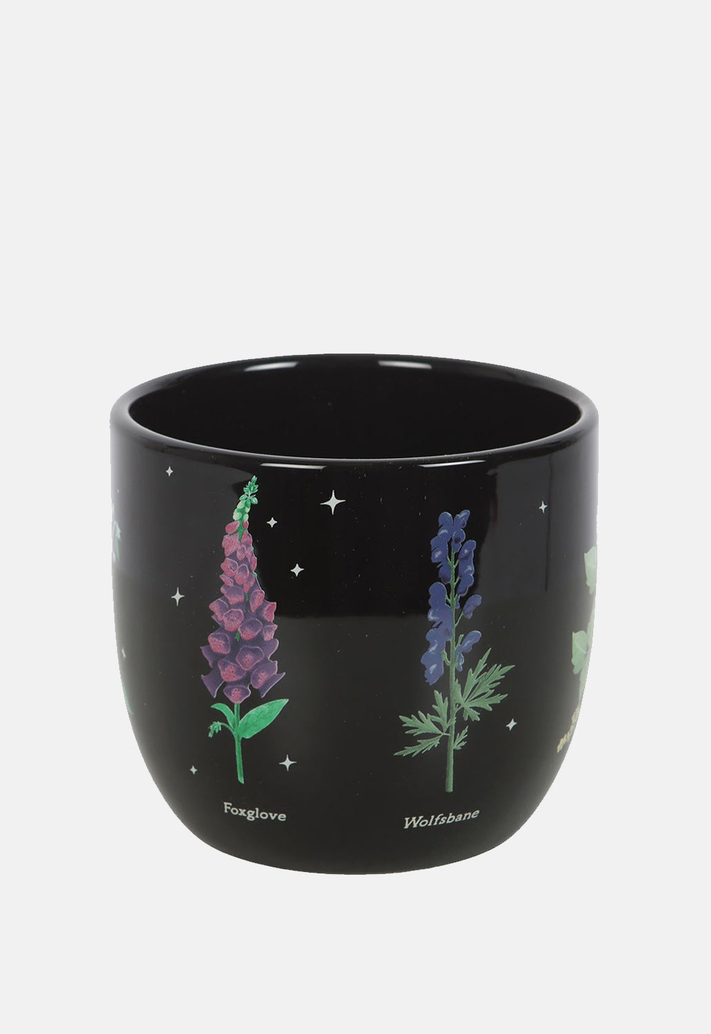 Poisonous Plants Plant Pot