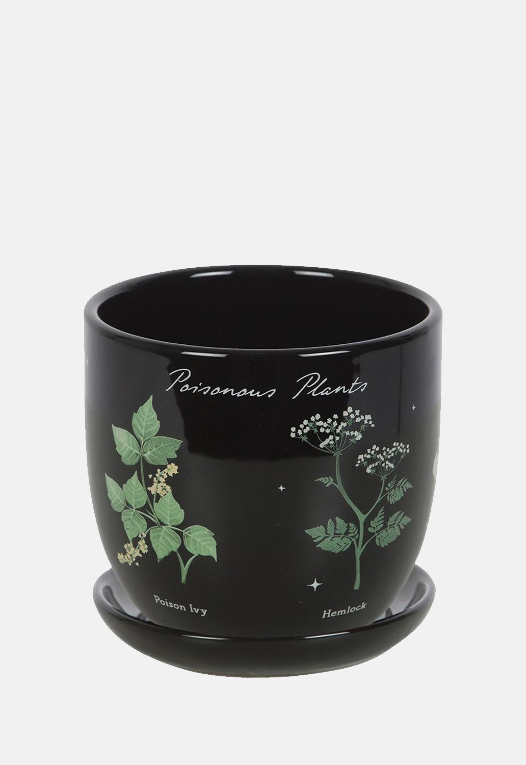 Poisonous Plants Plant Pot