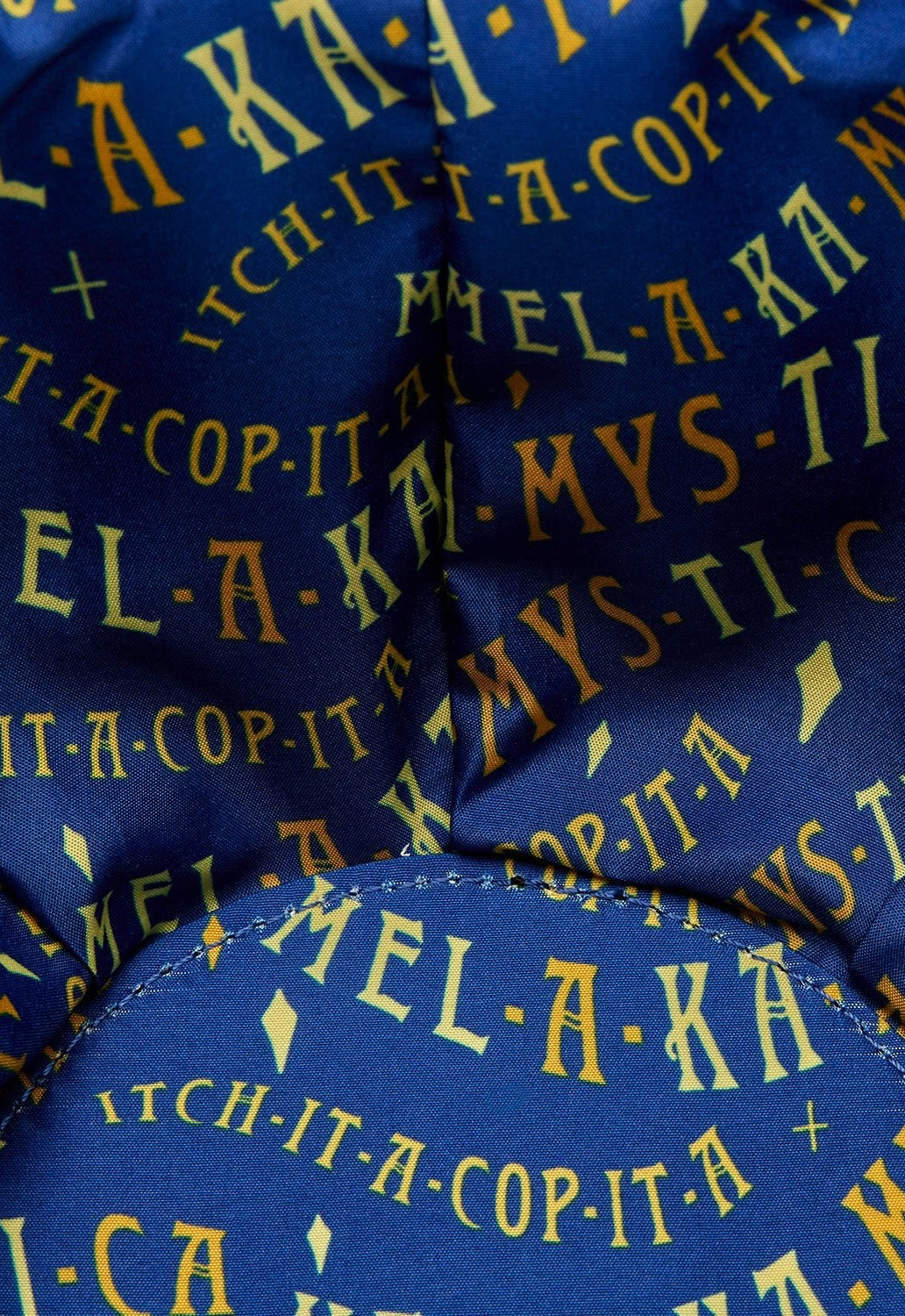 Sanderson Sisters Flying Dome Crossbody Bag