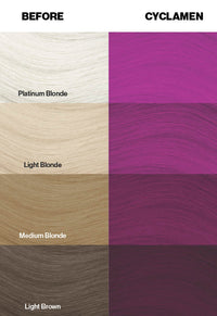 Cyclamen Hair Dye
