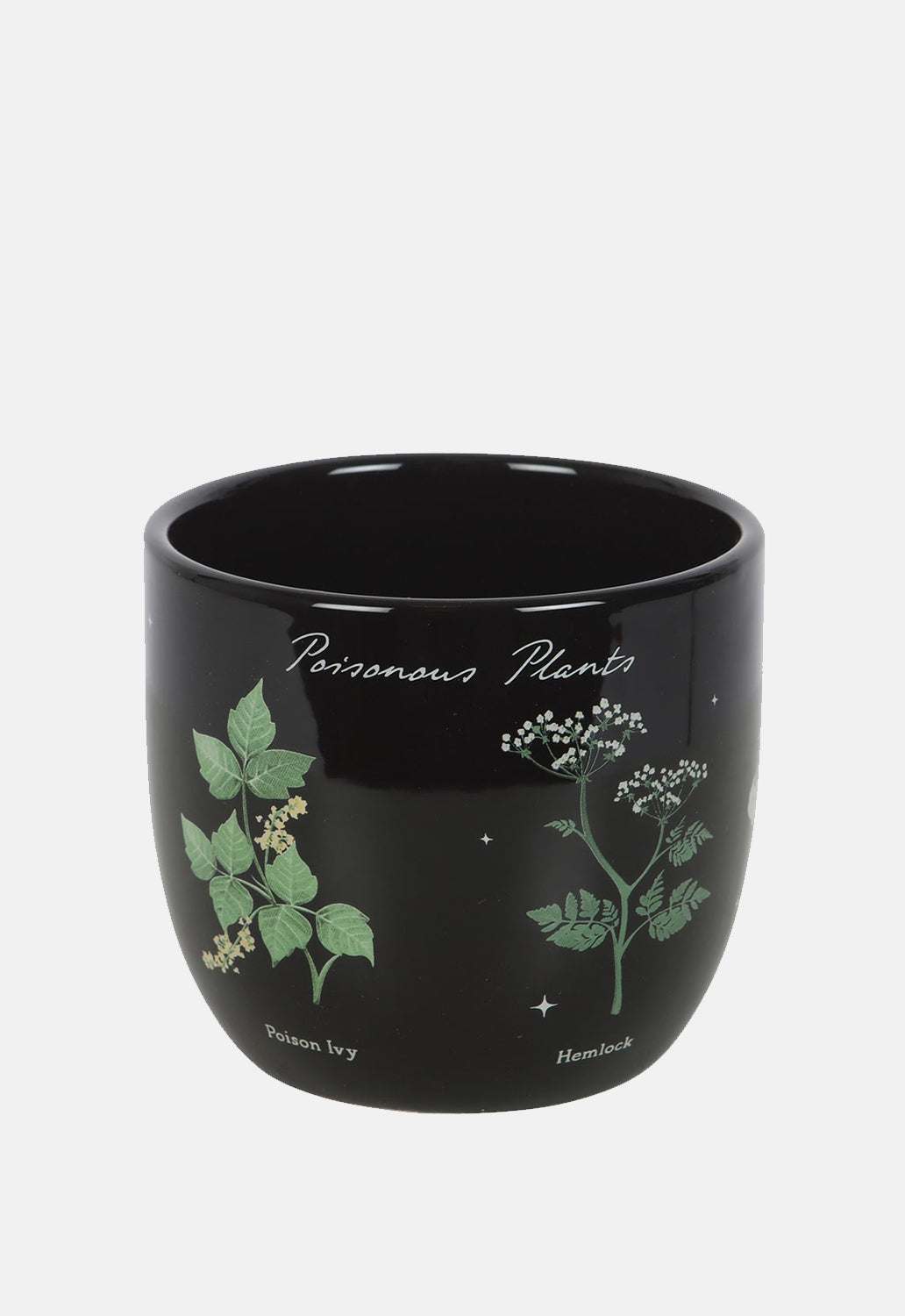 Poisonous Plants Plant Pot