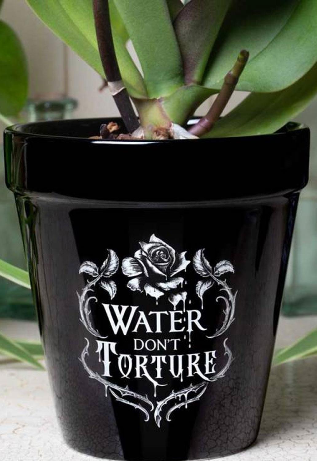 Water Don't Torture Plant Pot