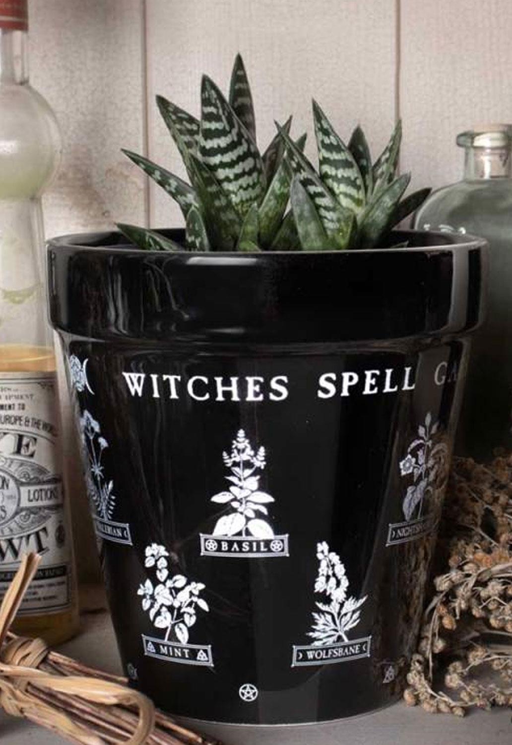 Witches Spell Garden Plant Pot